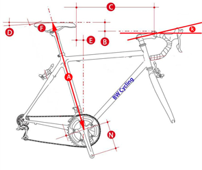 Swerve Bike Fitting